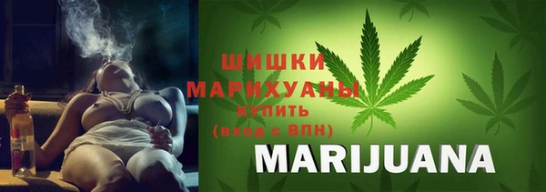 PSILOCYBIN Балабаново