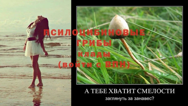 винт Баксан