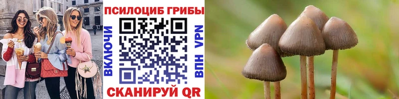 Галлюциногенные грибы Psilocybine cubensis  Лесосибирск 